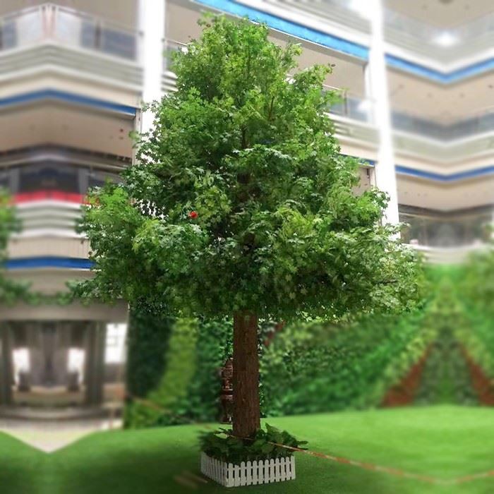 green maple tree