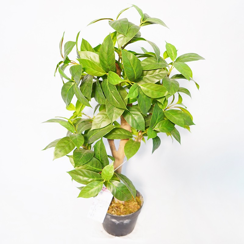 Artificial Lilac Leaf Potted Plant best