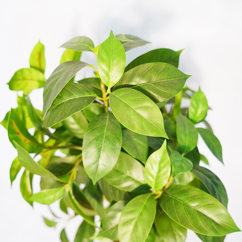 Artificial Lilac Leaf Potted Plant suppliers