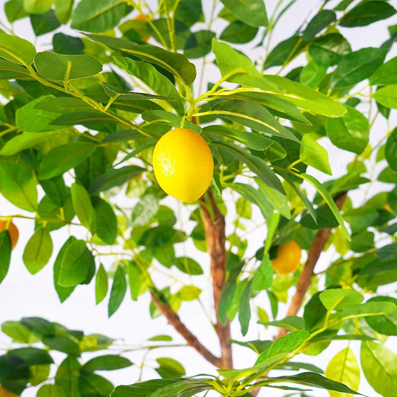 Indoor Premium Faux Lemon Tree suppliers