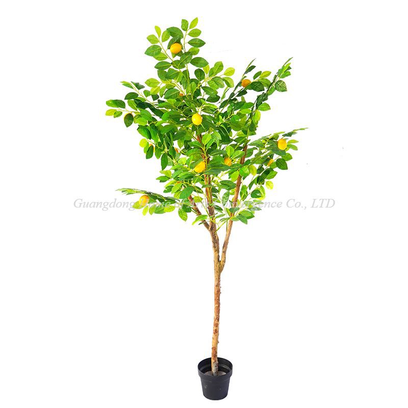 Indoor Premium umjetno drvo limuna