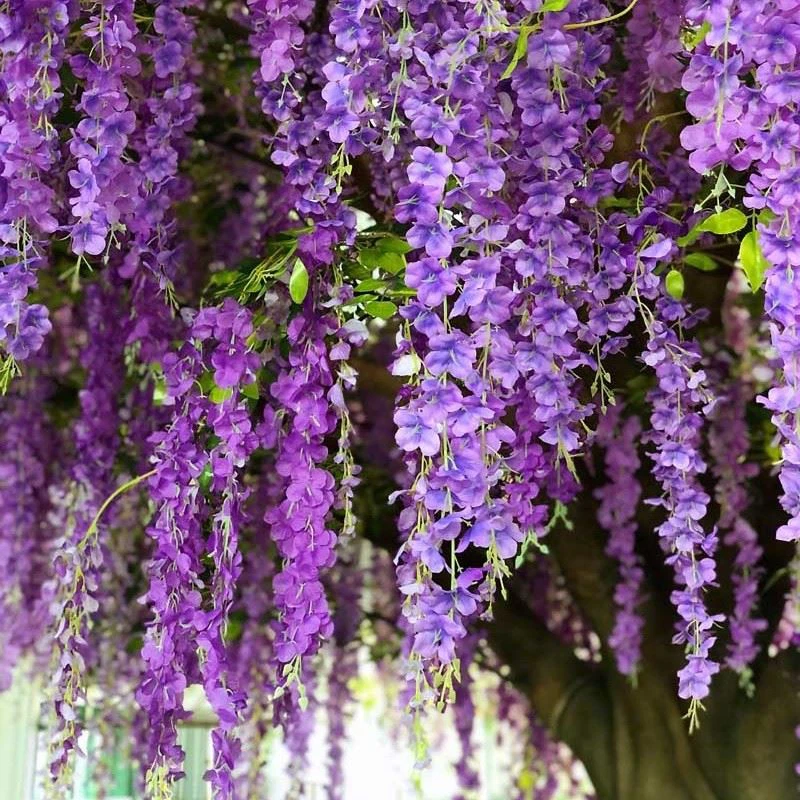 Large Silk Wisteria Blossom Tree