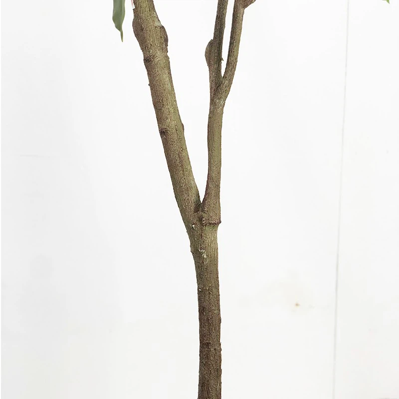 Potted Faux Greenery Ficus Plant