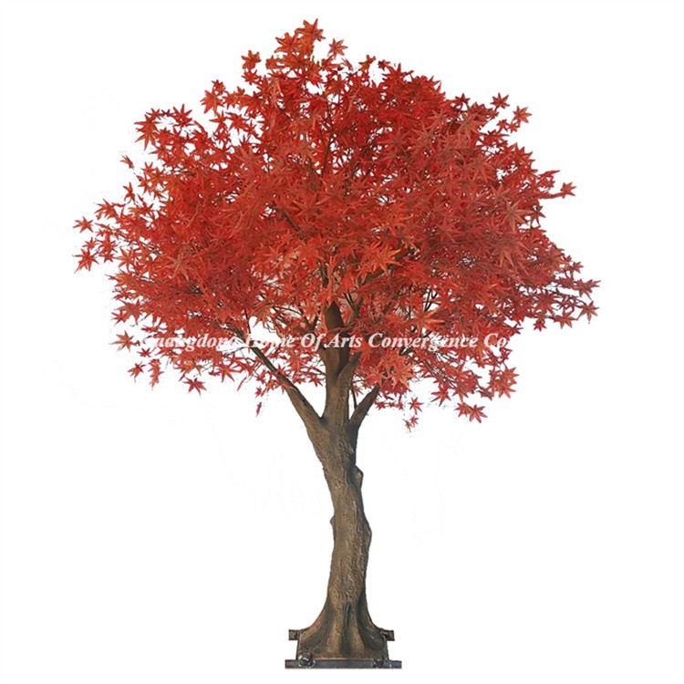 product-750-750 product-750-750