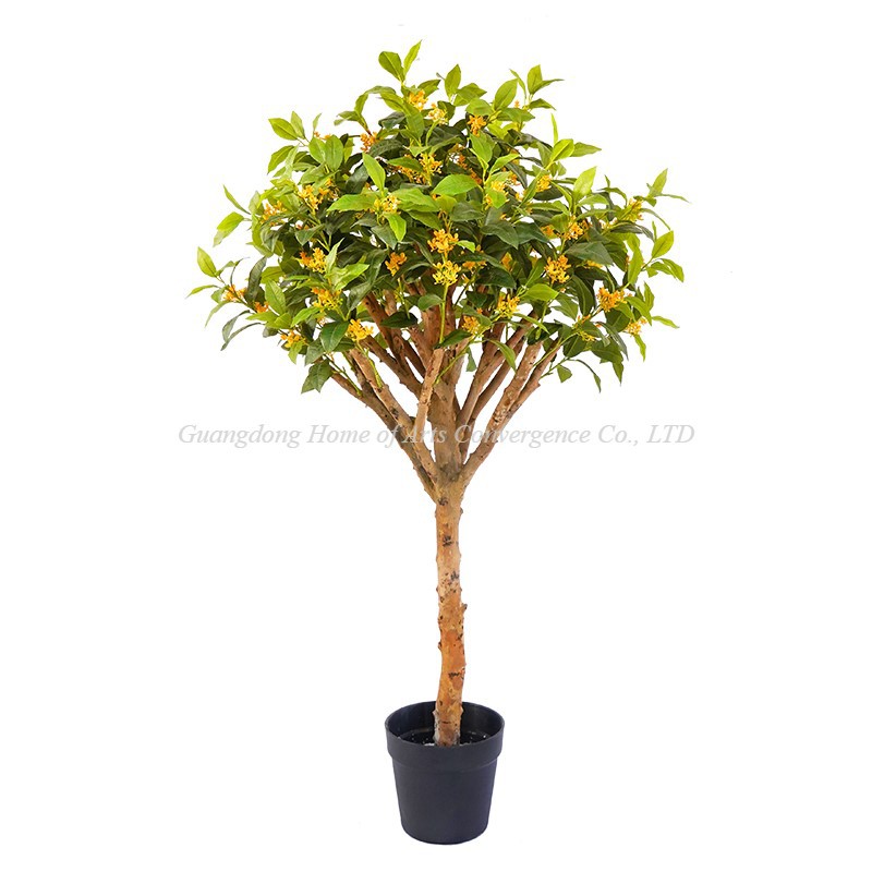 product-800-800