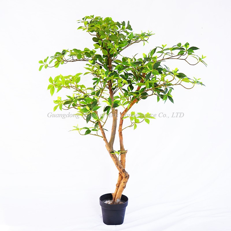 product-800-800
