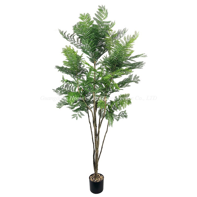 product-800-800