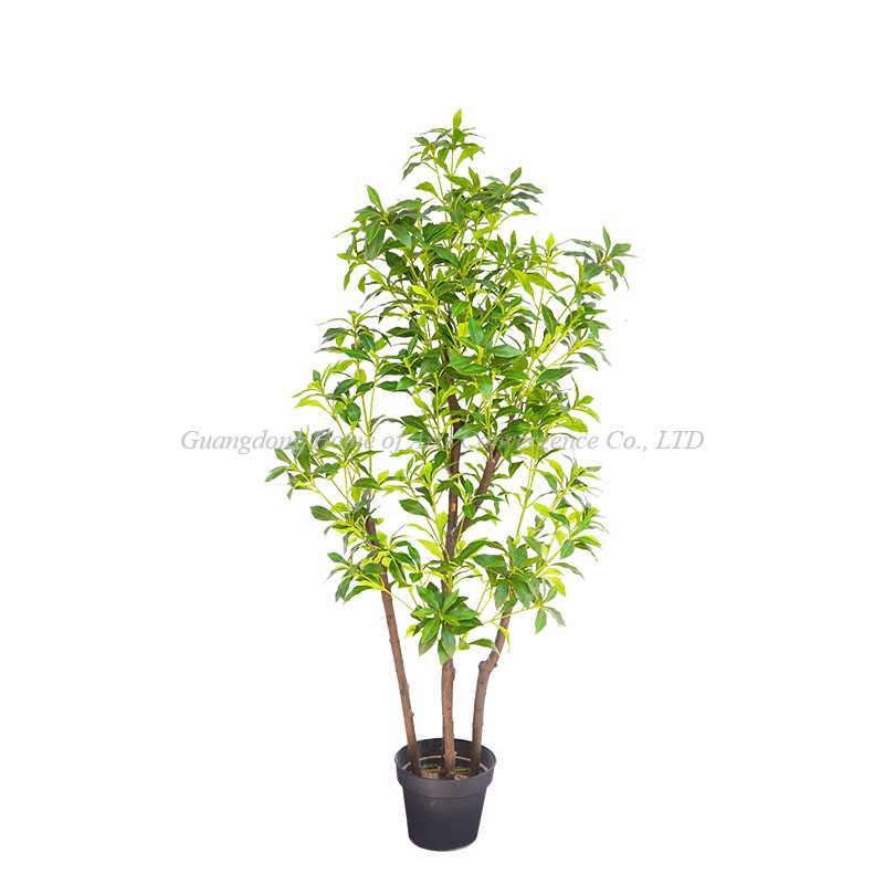 product-800-800